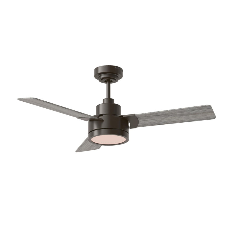 Ebie 44'' Ceiling Fan with LED Lights, Aged Pewter