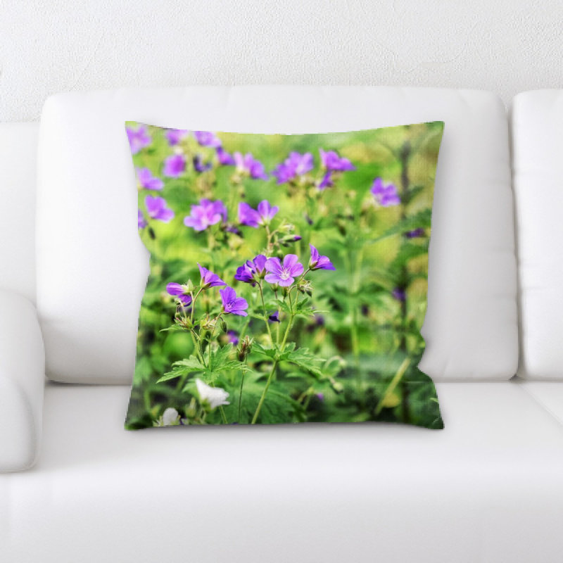 Coussin cranesbill