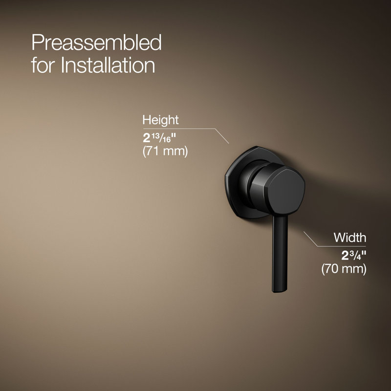 Occasion 2.75" W x 2.81" H Bathroom Sink Handle, Matte Black