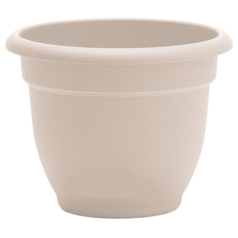  Ariana 13.75 in. H X 17.75 in. W X 16 in. D Plastic Traditional Planter Vanilla Bean, Vanilla Bean