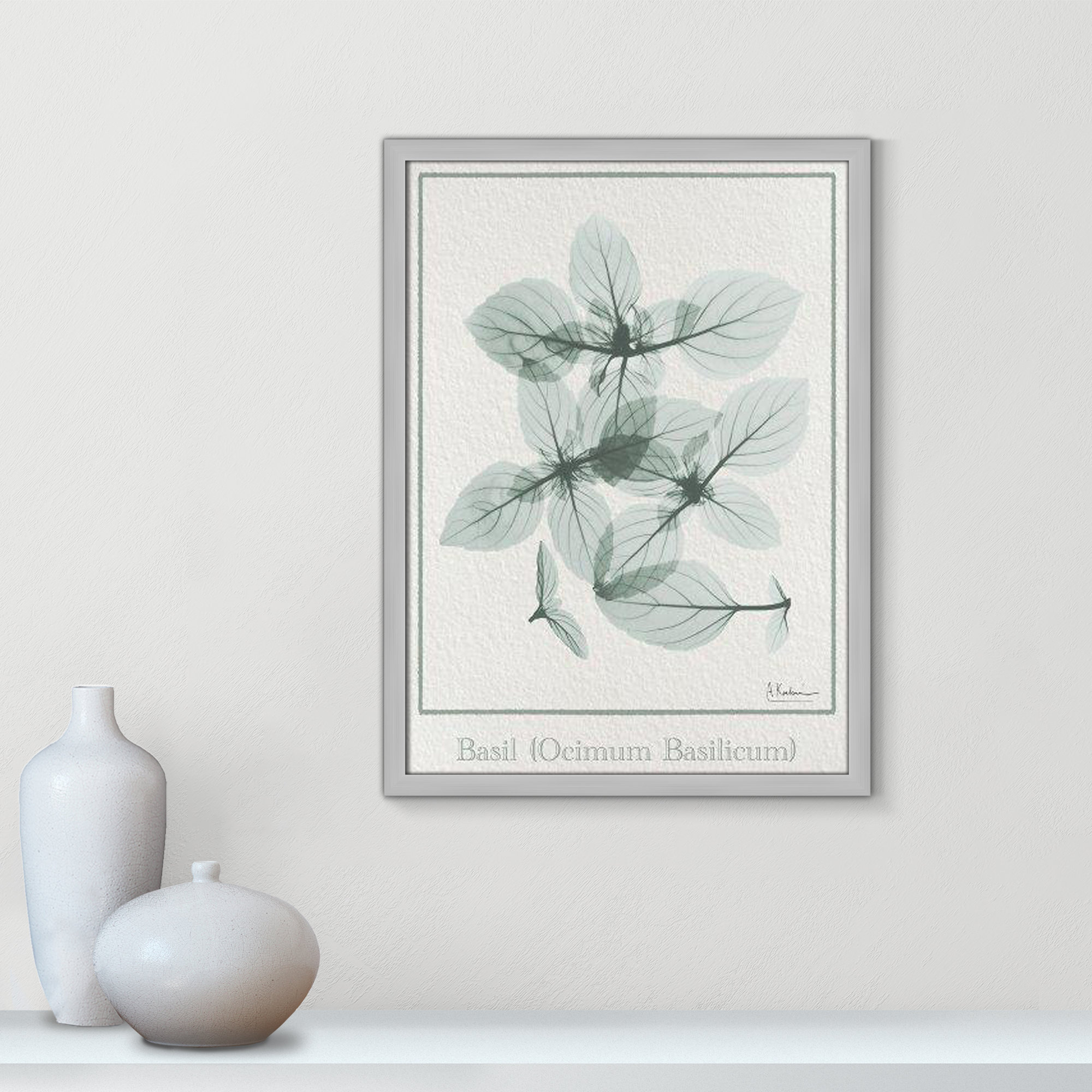 Basil Ocimum Basicicum Framed On Paper by Albert Koetsier Print, 23" H x 17" W x 1.25" D, Matte Silver Framed Paper