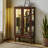 Cabinets | Walnut Brown Lighted Corner Curio Display Cabinet with Adjustable Shelves &amp; Mirrored Back | Traditional | Living Room-1371180926