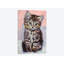 «Kitten», reproduction sur toile-32862030-72232401-72232402