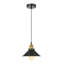Darvone 1 - Light Matte Black Cone Pendant
