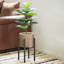 Indro Metal Plant Stand