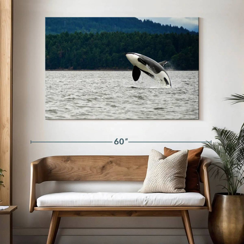 Crowle Orca Jumping, 34" H x 51" W