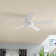 Waxler 52'' Ceiling Fan with LED Lights