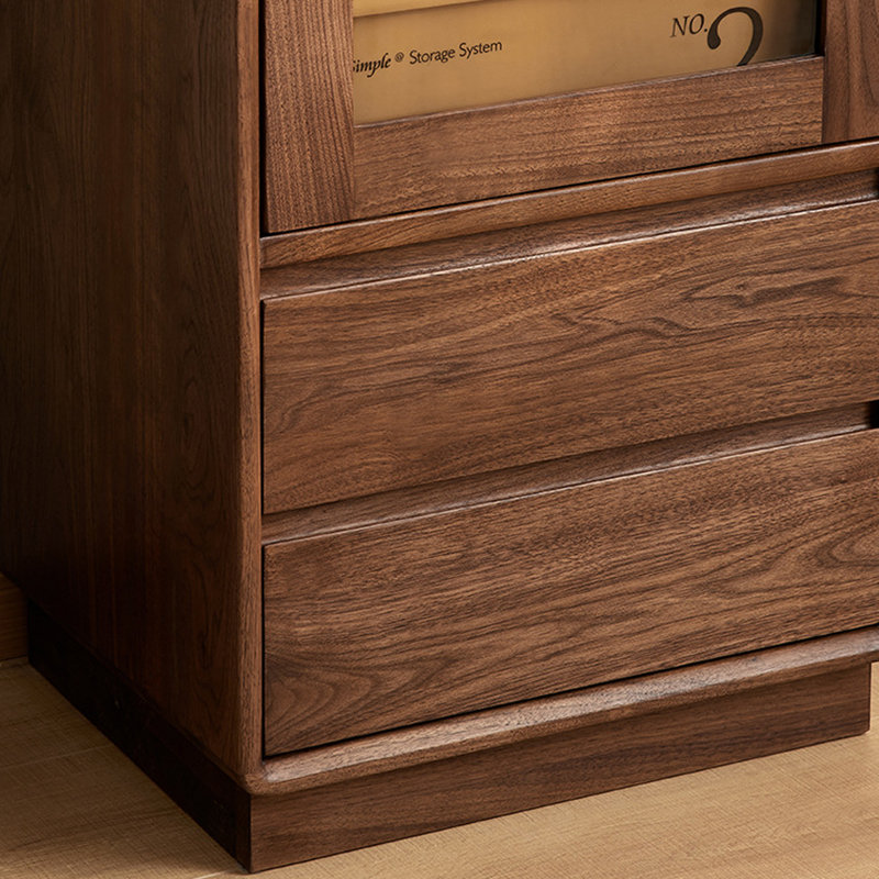 Modern minimalist display and storage cabinet