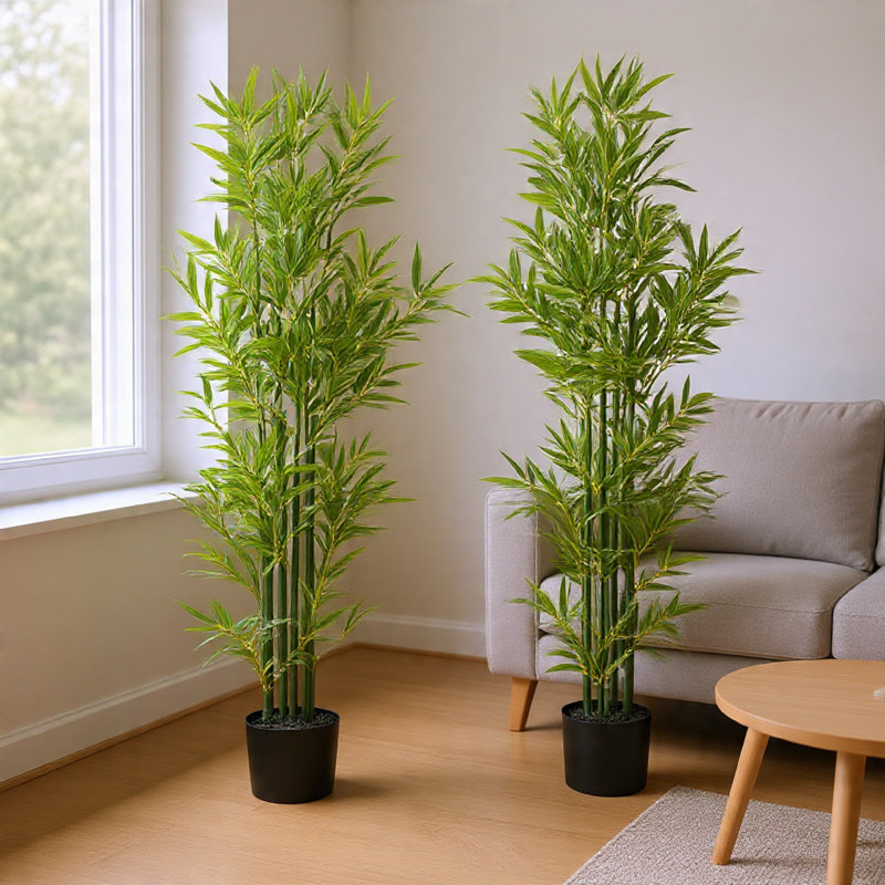 Ensemble de plantes Nadia, H 60,75 po x l 27 po x P 27 po, Noir