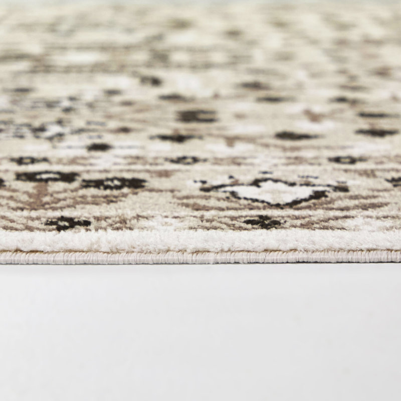 Bezeredi Brown Southwestern Traditional Area Rug, 7'10" x 10'