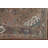 Brown Distressed Traditional Area Rug 7x10