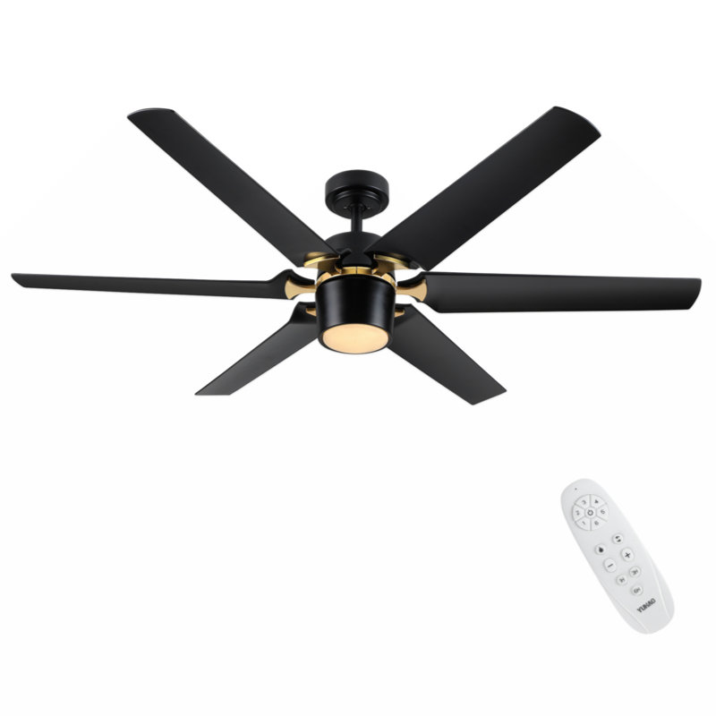 Elfreida 60'' Ceiling Fan with LED Lights