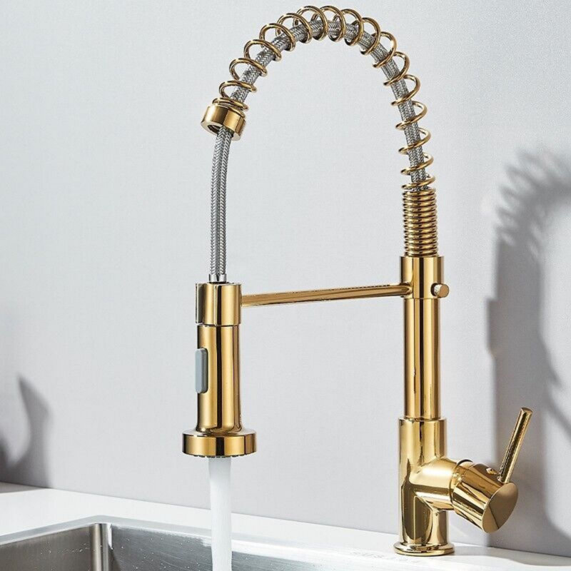 Belfry Kitchen Arradene Pull Down Kitchen Faucet