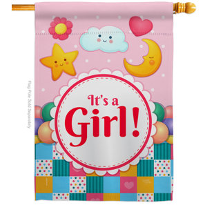 Drapeau de maison 40 po x 28 po It's a Baby Face