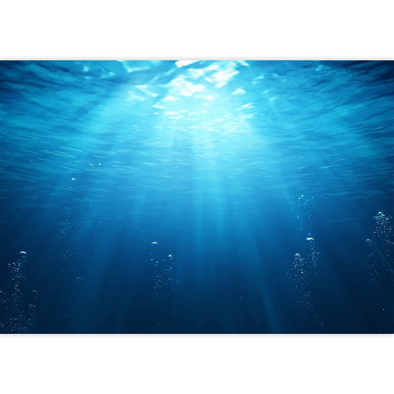 Murale à peindre Blue Ocean Deep Sea M05 L 8 pi 4 po x l 144 po, L 100 po x l 144 po
