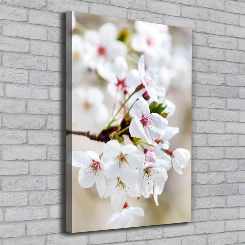 Cherry Blossoms - Wrapped Canvas Print