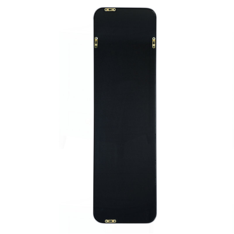 47 X 14IN Door Mirror, Silver