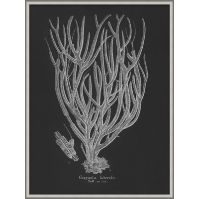 Briny Deep 4 Print by Art House Studios