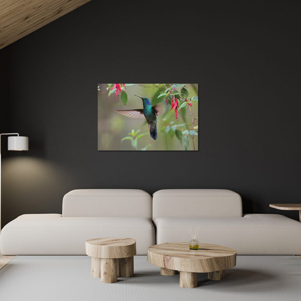 Hokku Designs Green Violet-Ear Hummingbird Foraging, Costa Rica by Tim ...