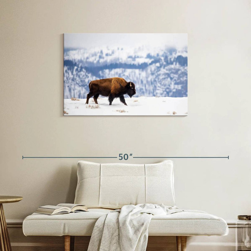 Brampt American Bison During Winter, 24" H x 36" W