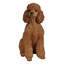 Statue caniche assis-935637463