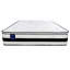 Sareer Furniture Pillow Top Open Coil Mattress-98497683