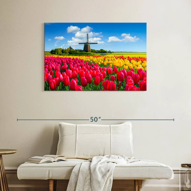 Champ de tulipes Alvord Holland, H 26 po x l 39 po