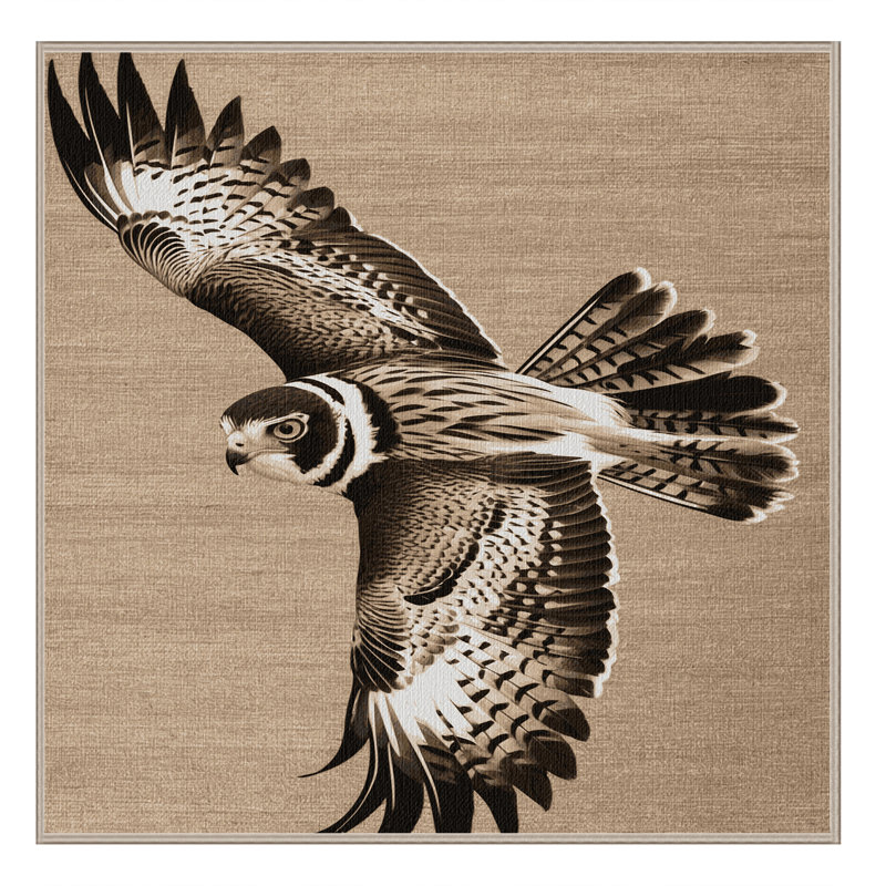 Washable Northern Harrier Birds Area Rug, Round 6'