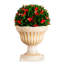 22 po Boule de Noël Photinia
