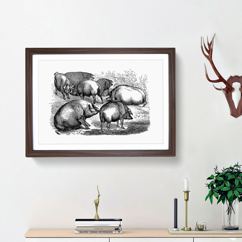 Pigs Illustration in Black and White - Framed Print, 27cm H x 36cm W x 2cm D, Walnut Framed