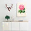 Illustration of a Pink Garden Rose - Wrapped Canvas-55360156
