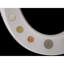 DM Coins Elongated Standard Toilet Seat