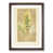 Walnut Framed