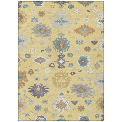 Machine Washable Indoor/Outdoor Chantille ACN2532 Traditional Rug