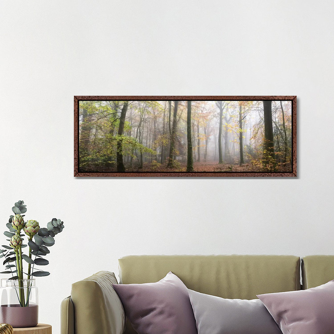 Panoramaspaziergang im Wald von Philippe Manguin - Galerie-verpackte Leinwand Giclée