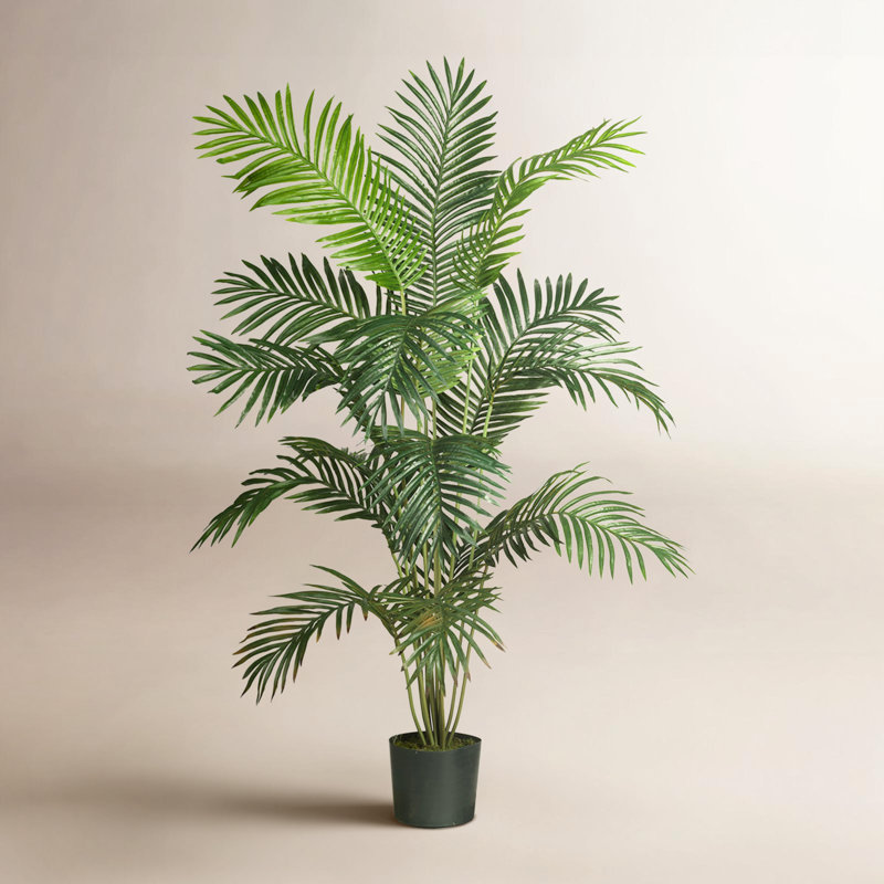 Thisbe Faux Palm Plant in Pot, 60" H x 52" W x 47" D