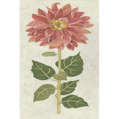 Dahlia I - Wrapped Canvas Print