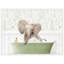 «Baby Elephant No3 in Fern Bath» par Amy Peterson, reproduction d'art sur toile encadrée