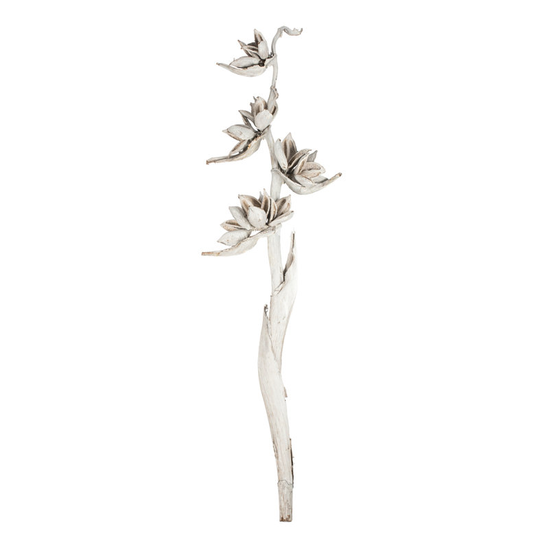 Star Pod Plant, White Wash