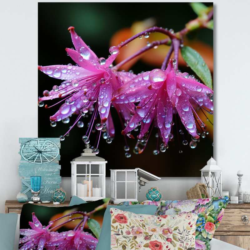 Garden Hardy Fuchsia Plants III - Fuschia, art mural, Toile tendue, H 36 po x l 36 po