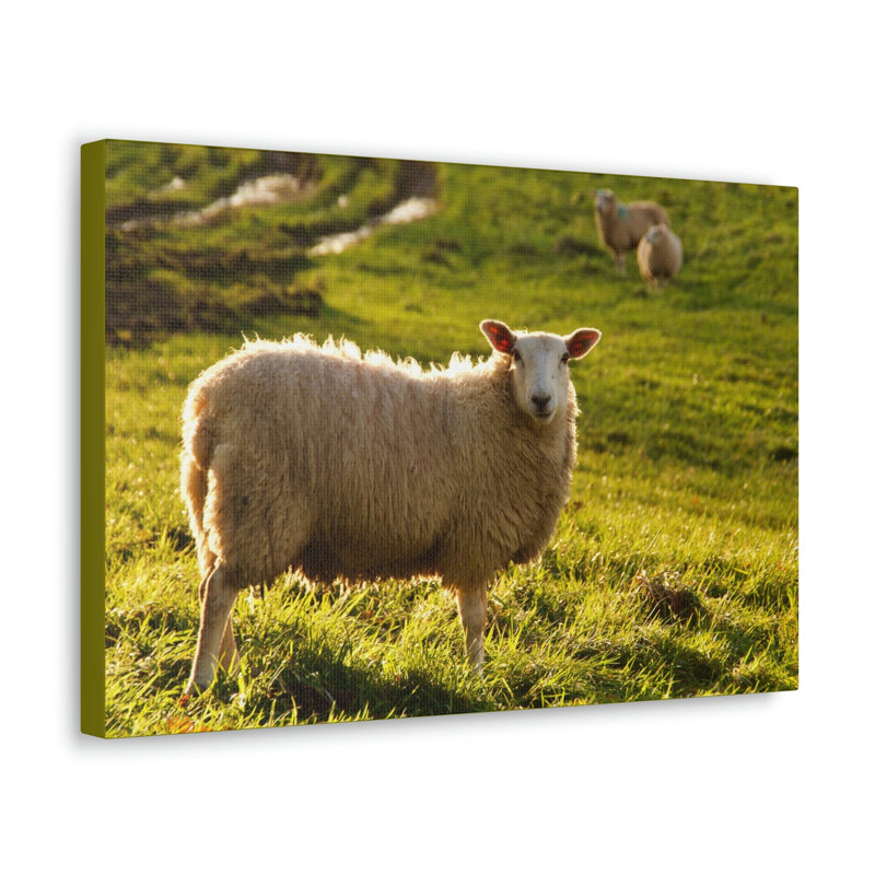 No Frame Print on Canvas, 27.94cm H x 35.56cm W
