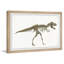 Brodsky 'Tyrannosaurus Skeleton' Framed Print-1799507189