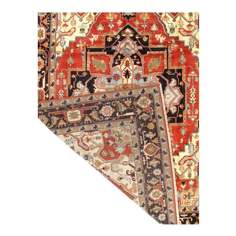 Serapi Wool Oriental Area Rug