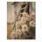 Peonies By The Wooden Barn Ladder I - Peonies Wood Print - On Natural Pine Wood-1158787087