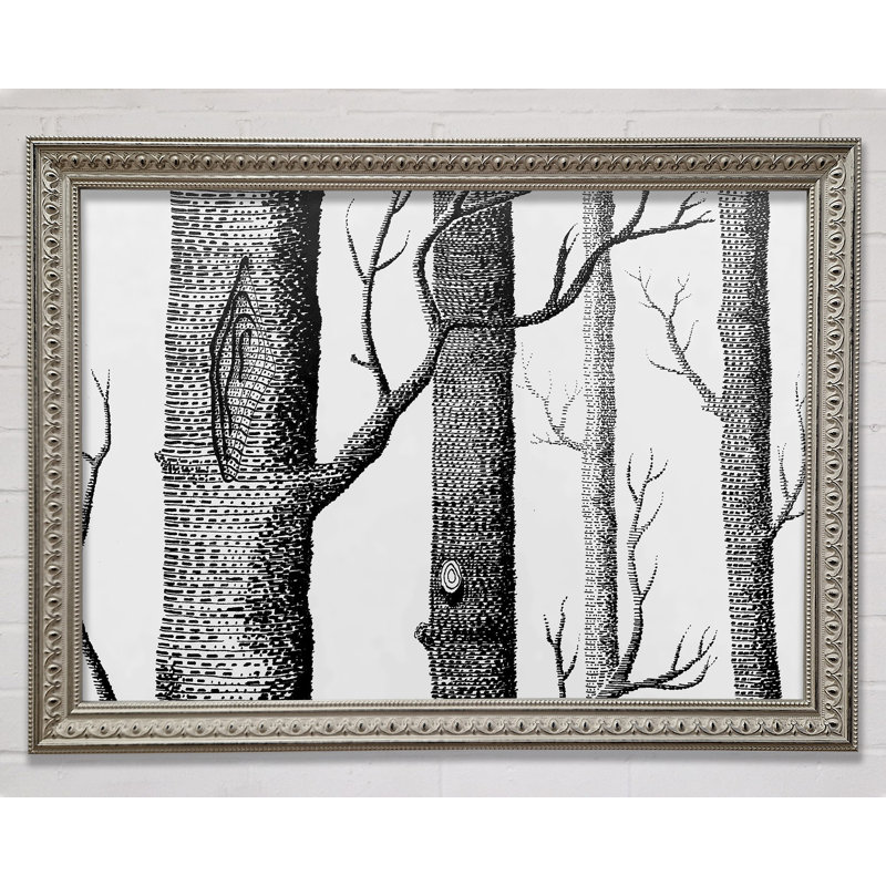 Silver And Silver Tree Trunks - Single Picture Frame Print, 84.1cm H x 118.9cm W x 3cm D