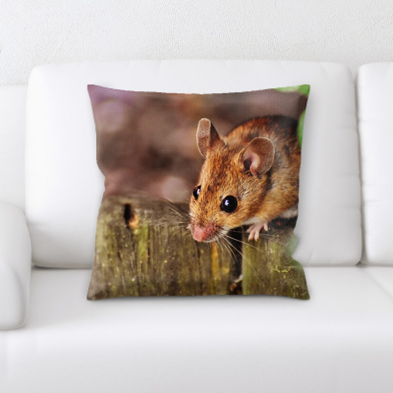 Housse et insert de coussin carré souris