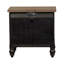 Aisja 2 Drawer Nightstand w/ USB Charging Ports - Black-2139584273