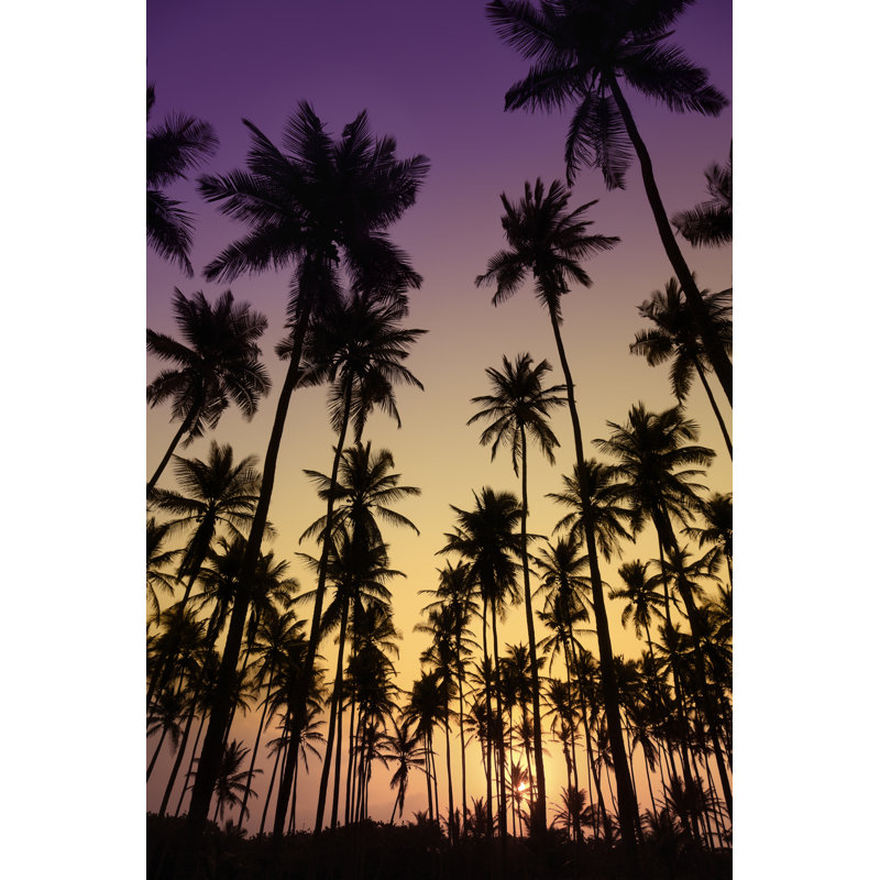 Cocotiers tropicaux au coucher du soleil par Apomares, H 18 po x l 12 po