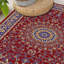 Akhira Oriental Area Rug-909952115