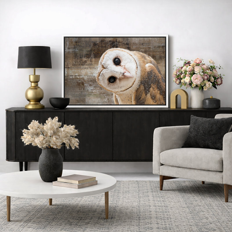 «Bird Bird Curious Owl Look» (Tyto Albahead), tête en gros plan sur toile, Impression encadrée, H 24 po x l 36 po, Blanc